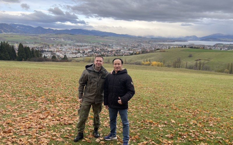 International Partnership Support