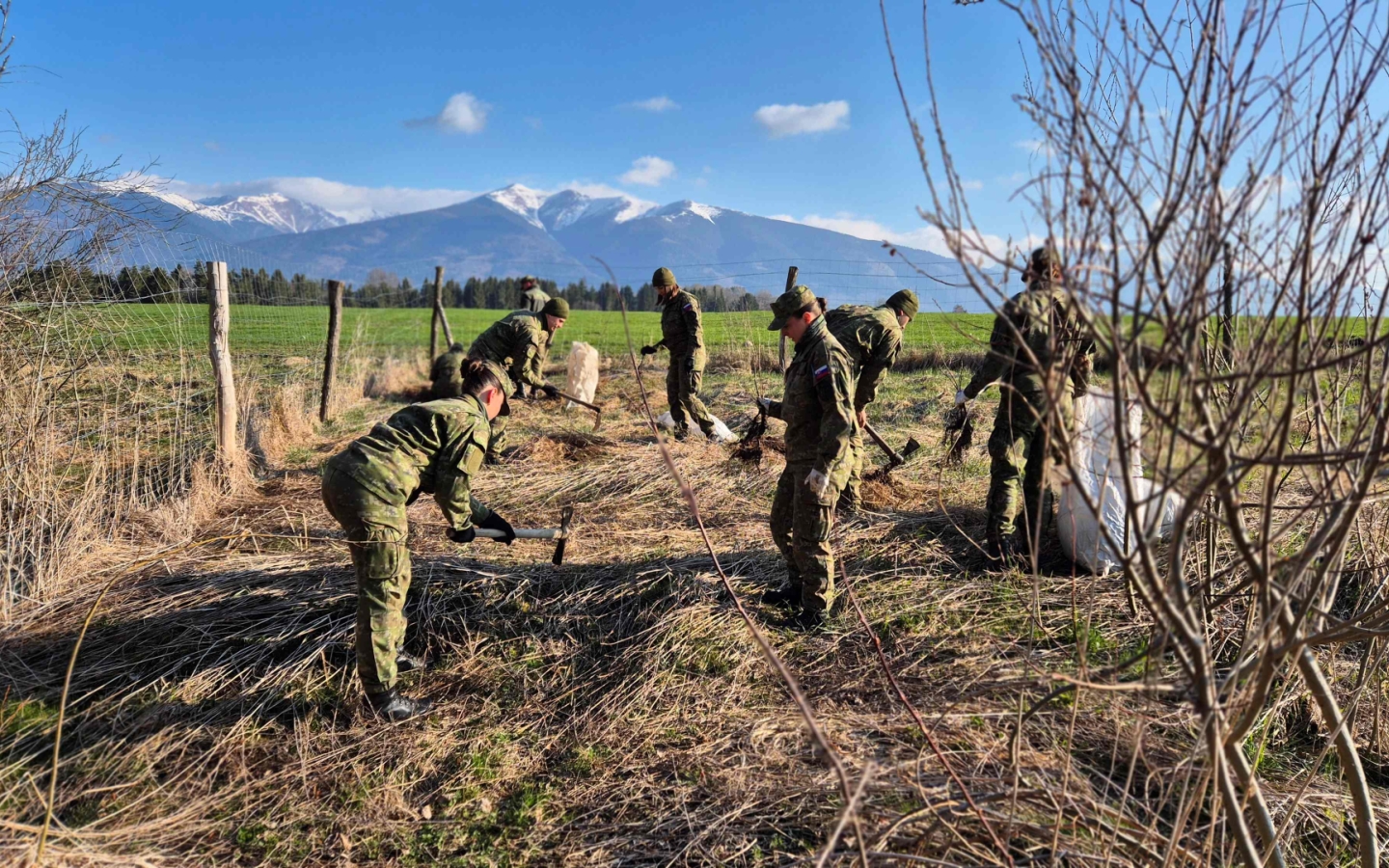 Kadeti pomáhali pri sadení stromčekov v Jamníku