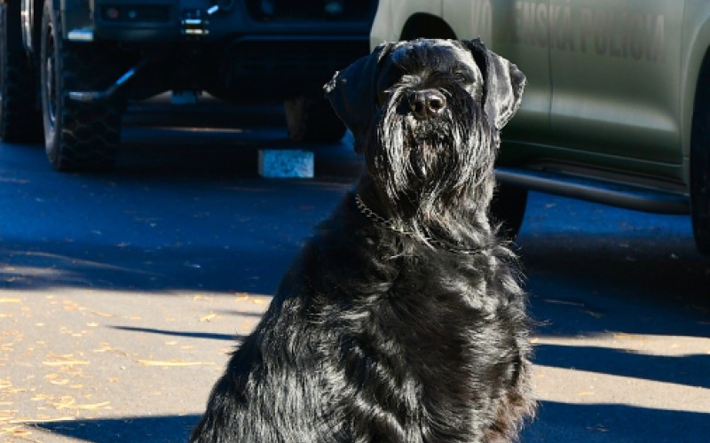 Deň otvorených dverí v AOS, 7.11.2025