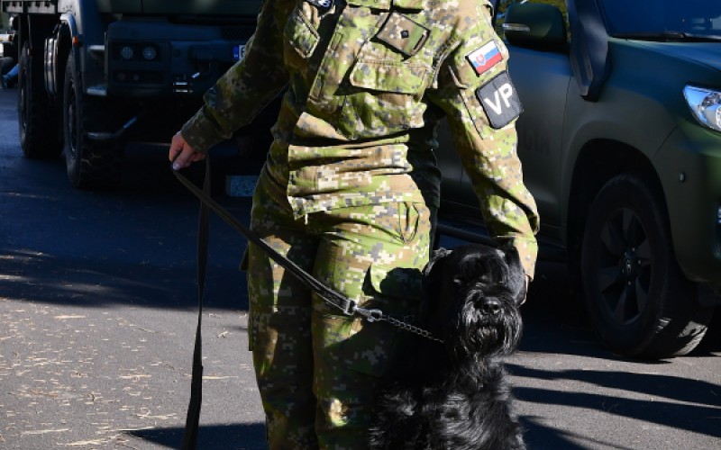 Deň otvorených dverí v AOS, 7.11.2025