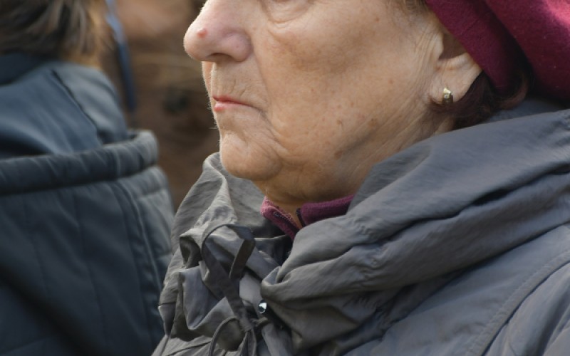 Medzinárodný deň vojnových veteránov 11. 11. 2025