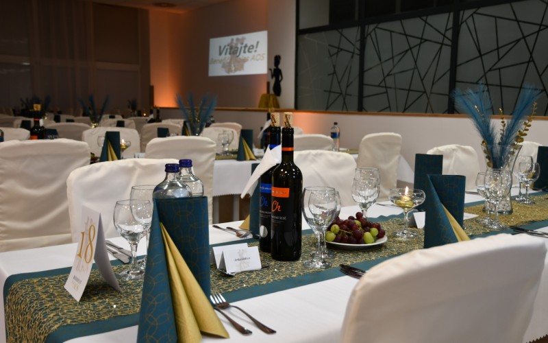 Beneficial ball of SVK AFA, January 31st 2026