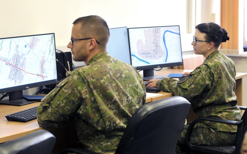 BLONDE AVALANCHE 2025