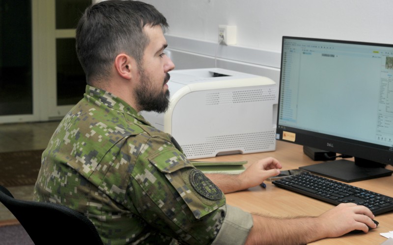 BLONDE AVALANCHE 2025