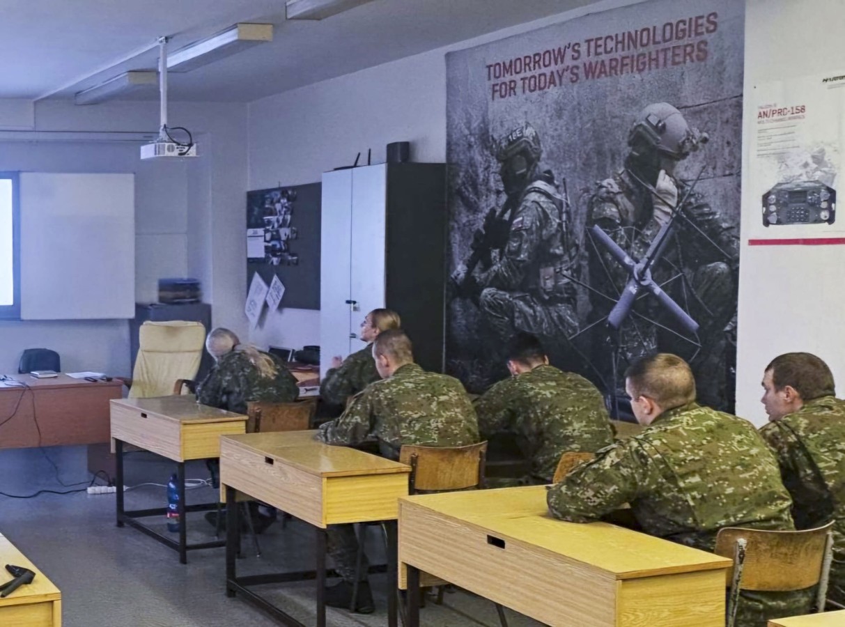 Ensuring Cooperation in the Field of Language Education