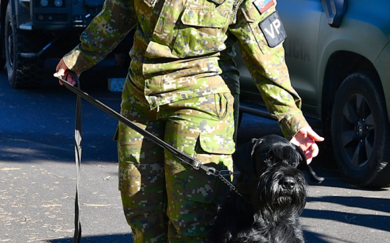 Open Door Day, November 7th 2025