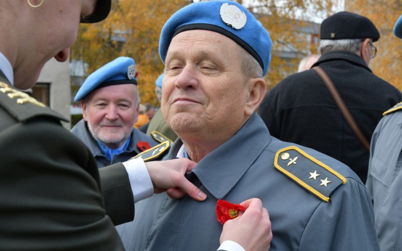 International War Veterans Day, November 11th 2025