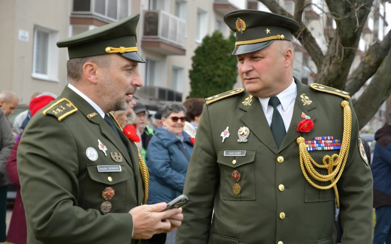 International War Veterans Day, November 11th 2025