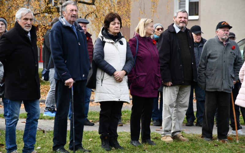 International War Veterans Day, November 11th 2025