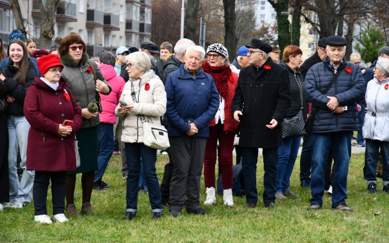 International War Veterans Day, November 11th 2025