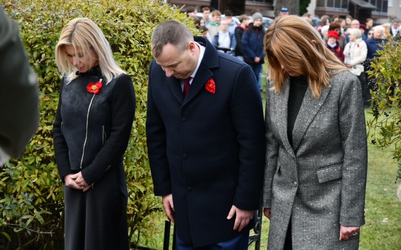 International War Veterans Day, November 11th 2025