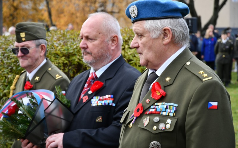 International War Veterans Day, November 11th 2025