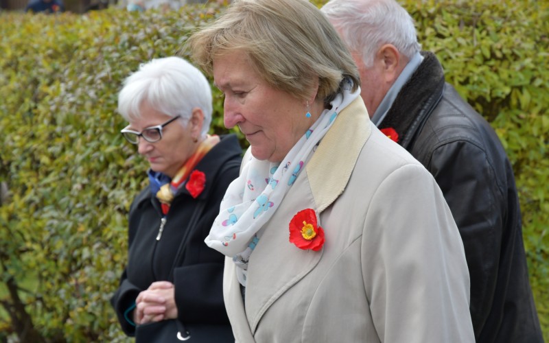 International War Veterans Day, November 11th 2025