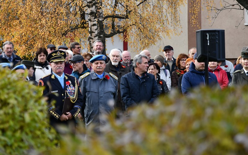 International War Veterans Day, November 11th 2025