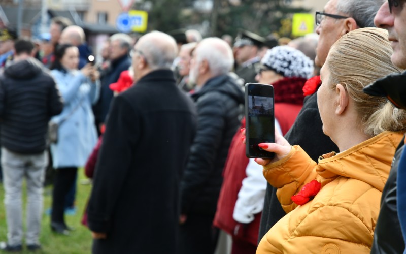 International War Veterans Day, November 11th 2025