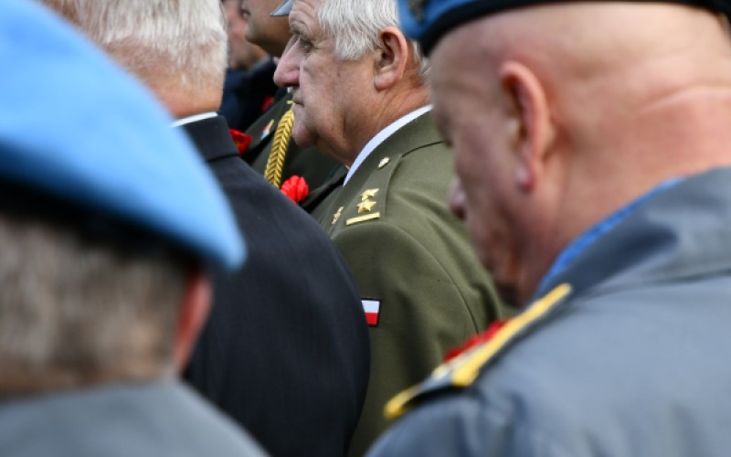 International War Veterans Day, November 11th 2025