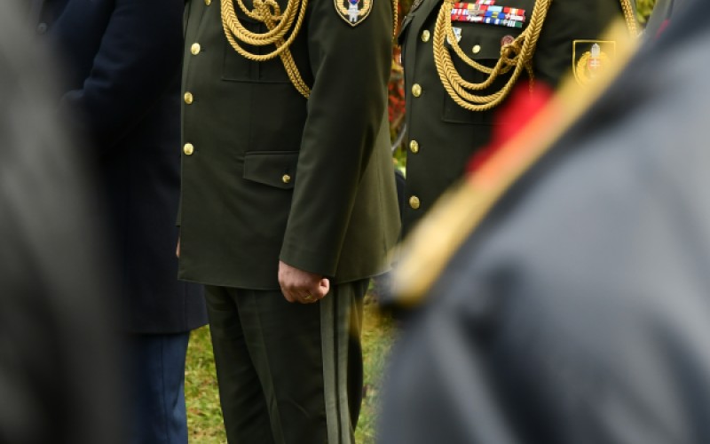 International War Veterans Day, November 11th 2025