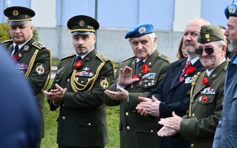 International War Veterans Day, November 11th 2025