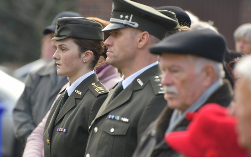 International War Veterans Day, November 11th 2025