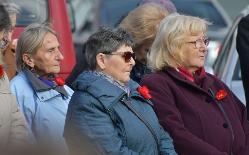 International War Veterans Day, November 11th 2025