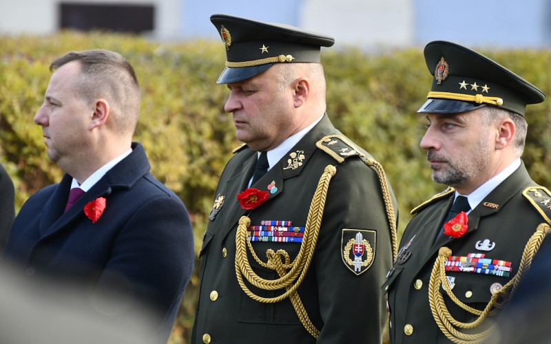 International War Veterans Day, November 11th 2025