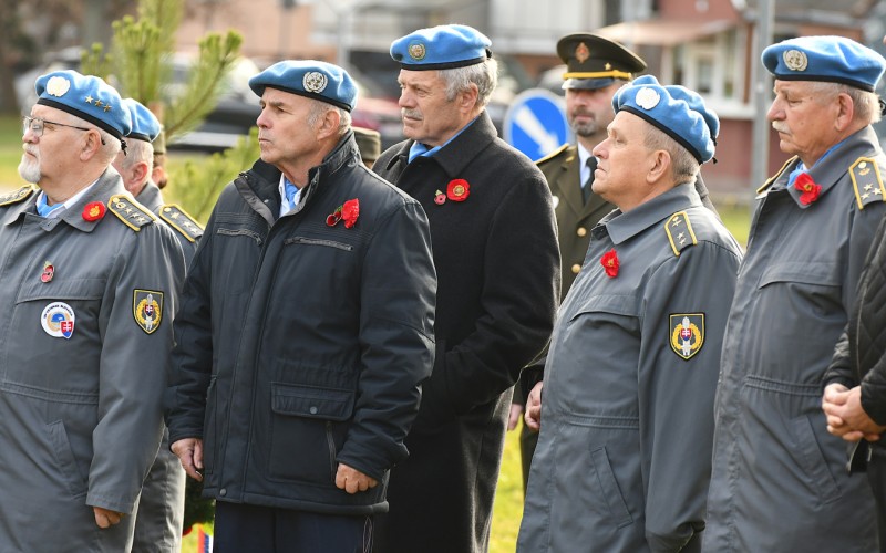 International War Veterans Day, November 11th 2025