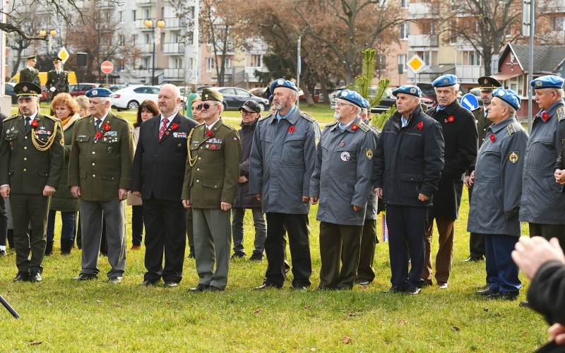 International War Veterans Day, November 11th 2025