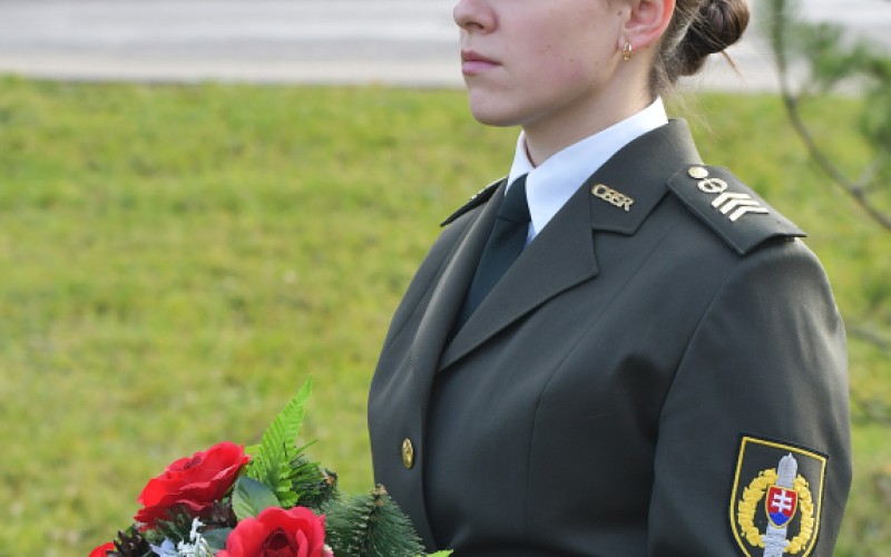 International War Veterans Day, November 11th 2025