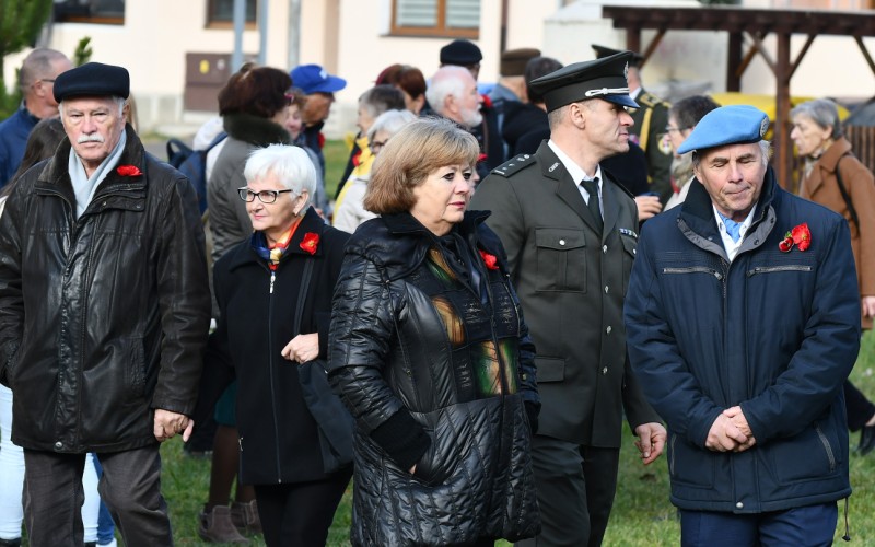 International War Veterans Day, November 11th 2025