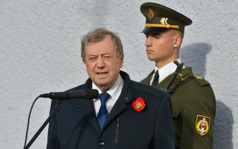 International War Veterans Day, November 11th 2025