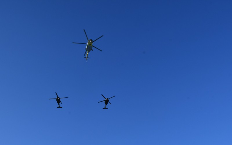 Memorial Day to the Victims of Homeland Service,  January 19th 2026