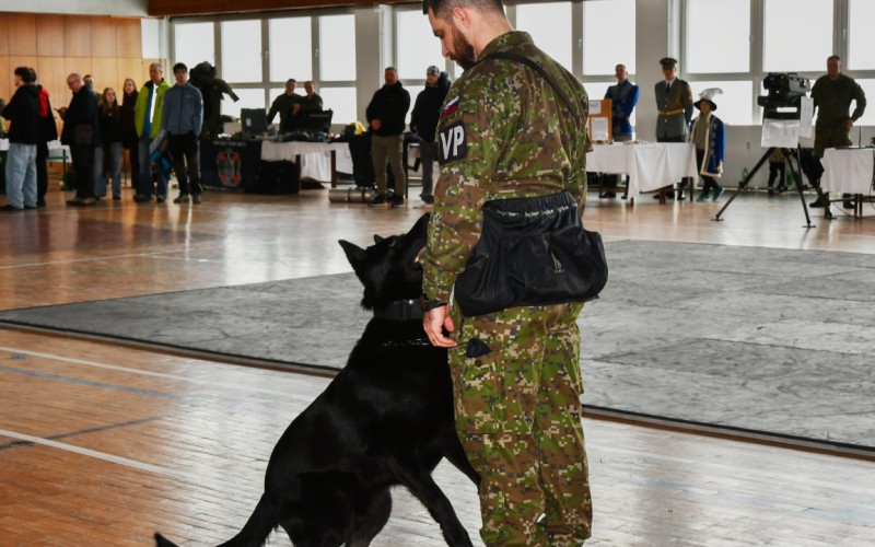 Open Door Day, February 20th 2026